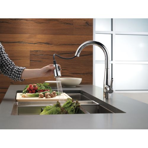 Delta 9113-BL-DST Essa Pull-Down Kitchen Faucet with Spray Head Matte Black