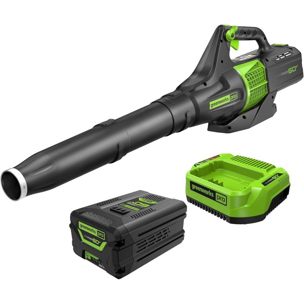 Greenworks BL60B210 60V 450 CFM Cordless Leaf Blower, 2.0 Ah Battery and Rapid Charger, Green