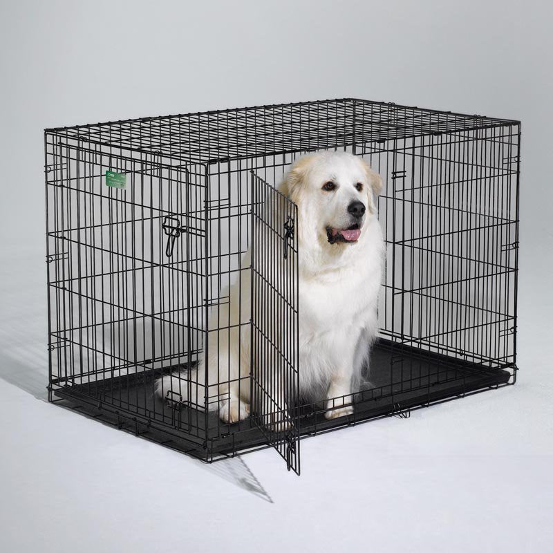 MidWest Homes for Pets 1548DDU Dog Crate | iCrate Single Door & Double Door Folding Metal Dog Crates