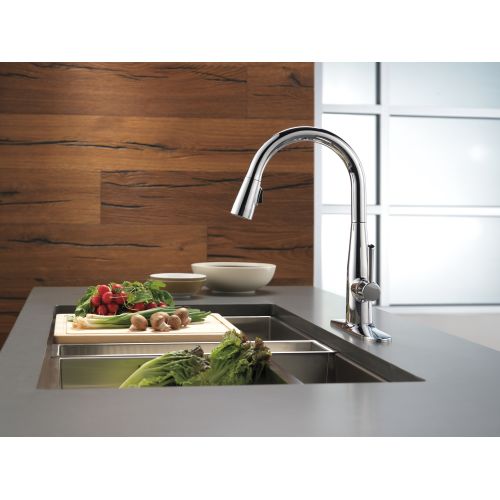 Delta 9113-BL-DST Essa Pull-Down Kitchen Faucet with Spray Head Matte Black