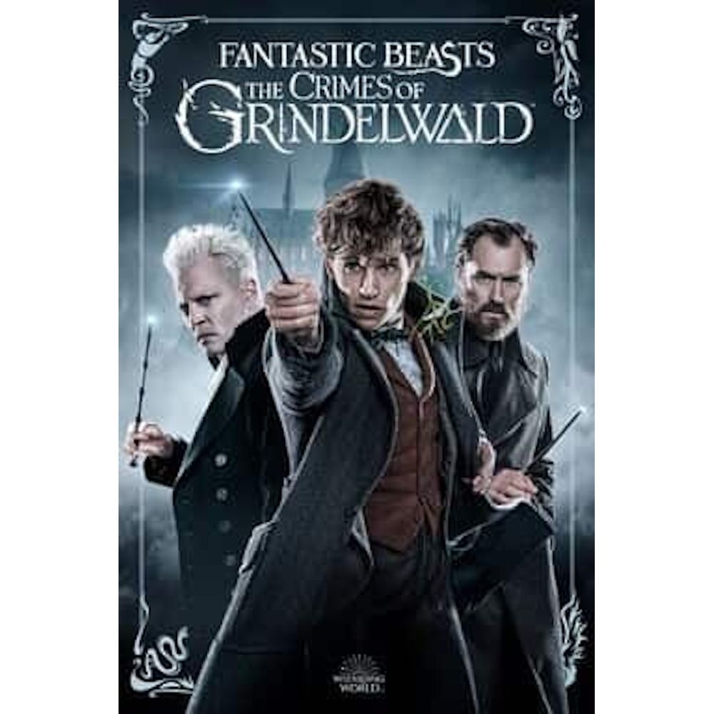 Warner Brothers Fantastic Beasts:The Crimes of Grindel (DVD)