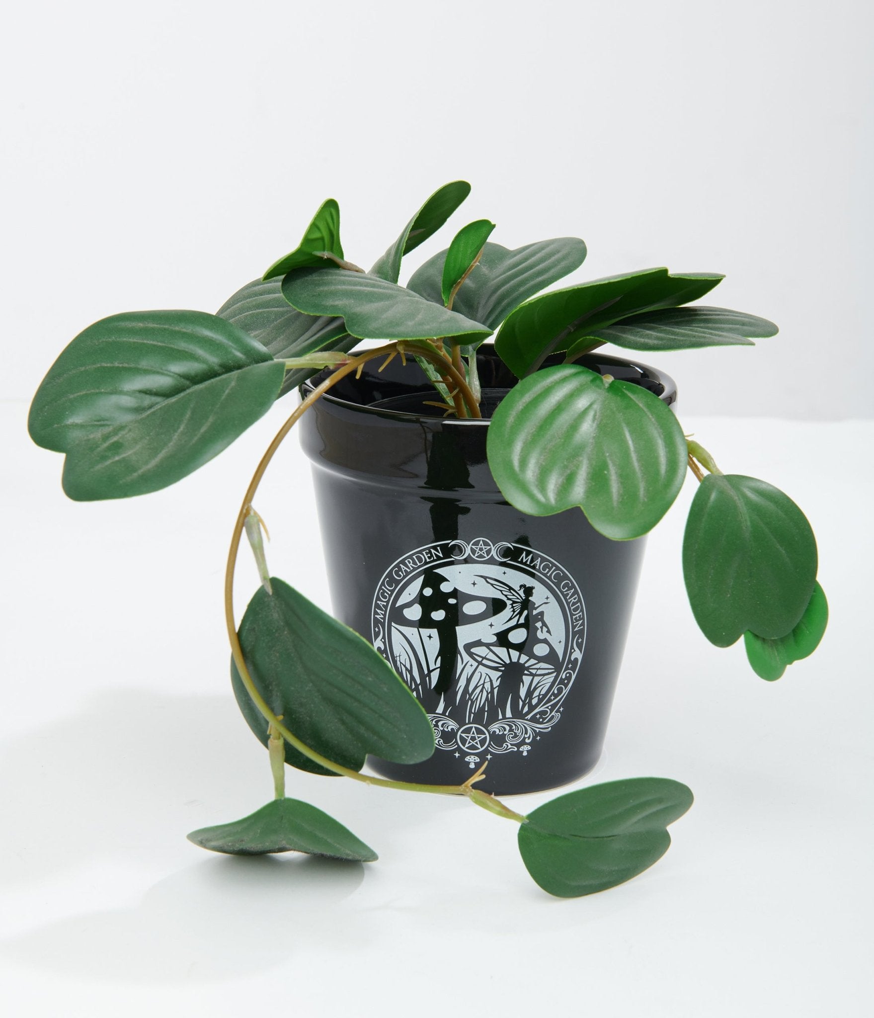 Black Magic Garden Plant Pot