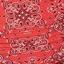 Unique Vintage Red Bandana Print Alice Swim Skirt