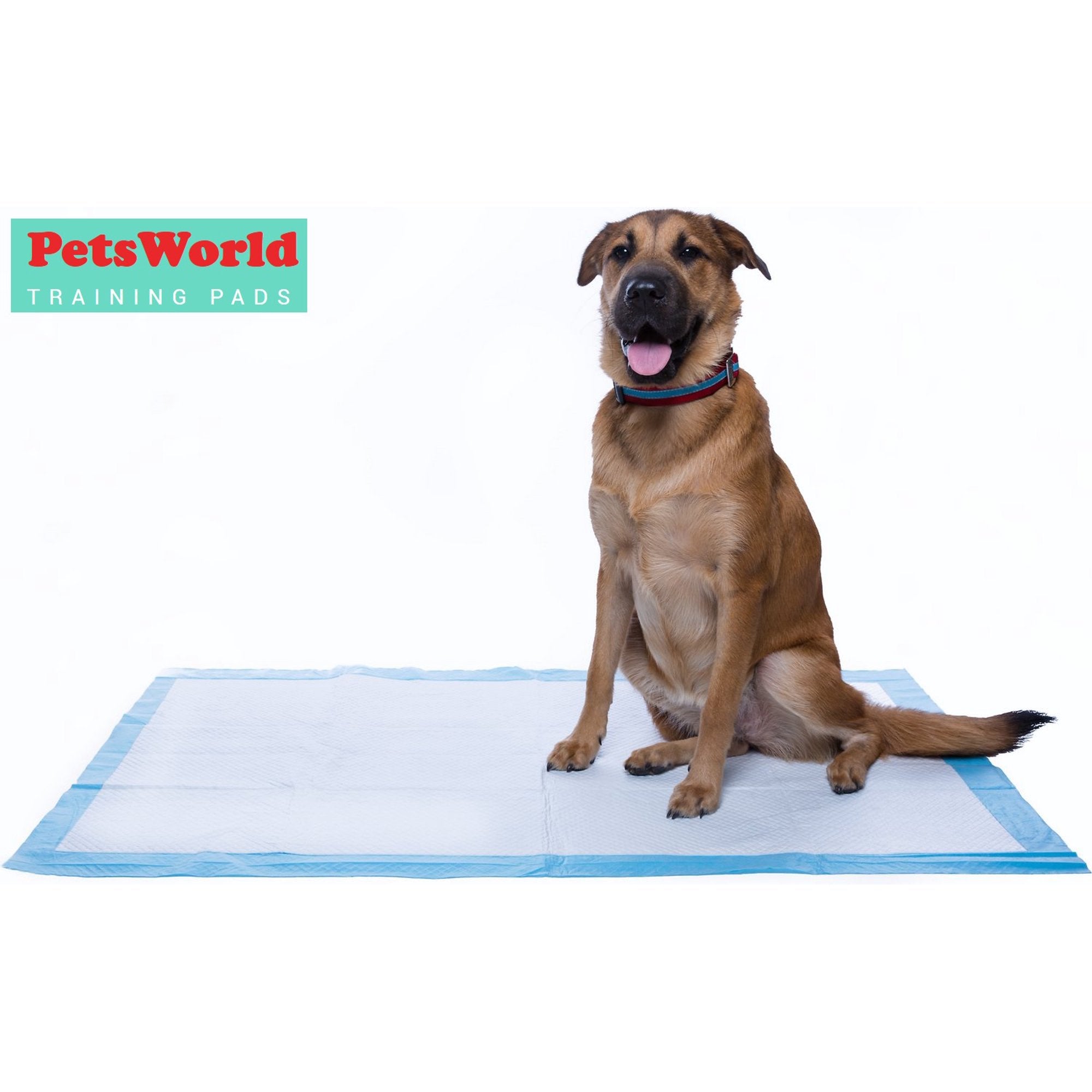 PetsWorld PW3636-150 Great Dane Dog Training Pads 36x36 150 Count