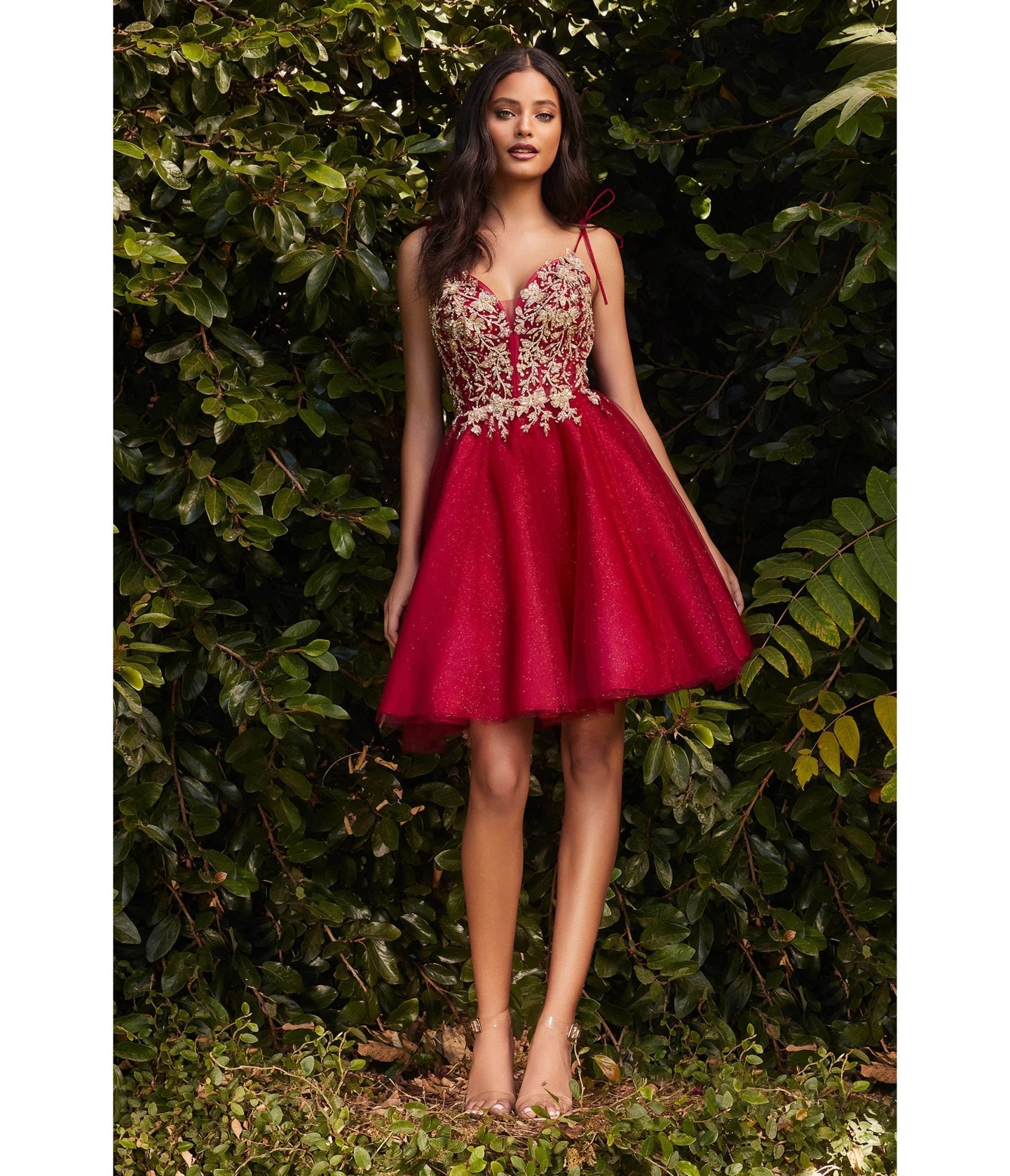 Ladivine by Cinderella Divine Burgundy & Gold Tulle & Corset Applique Mini Prom Dress