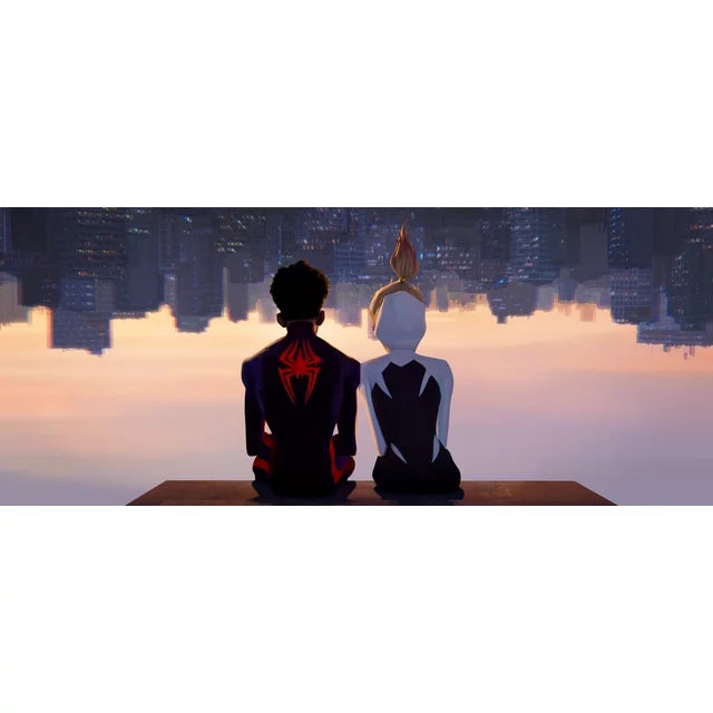 Sony Pictures Entertainment Spider-Man: Across the Spider-Verse Steelbook (Blu-Ray + DVD + Digital Copy)