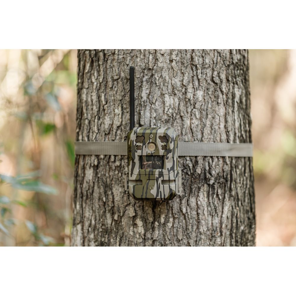 Moultrie Mobile MMA-14080 Edge Pro Cellular Trail Camera 36MP