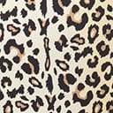 Kingdom & State Leopard Print Swim Bottom