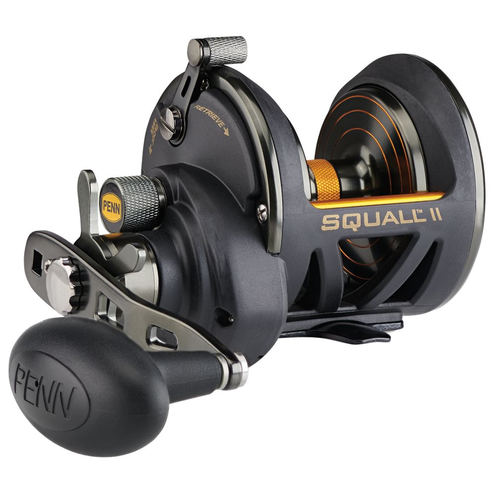 Penn SQLII25NSD Squall II Star Drag, Size 25N Fishing Reel, Right Handle Position