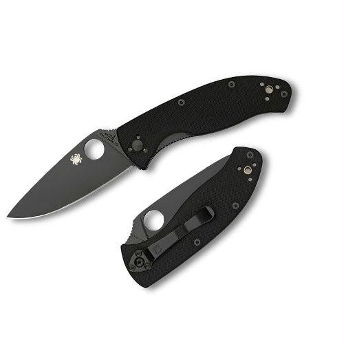 Spyderco C122GBBKP Tenacious Folding Utility Pocket Knife with 3.39 Black Stainless Steel Blade