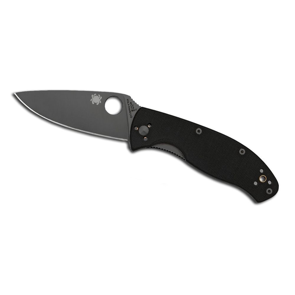 Spyderco C122GBBKP Tenacious Folding Utility Pocket Knife with 3.39 Black Stainless Steel Blade