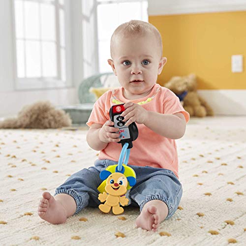 Fisher-Price Laugh & Learn Play & Go Keys Musical Infant Toy