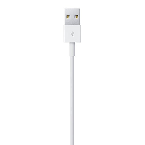 Apple MD819AM/A OEM Lightning to USB Cable (2.0 m) for iPhone