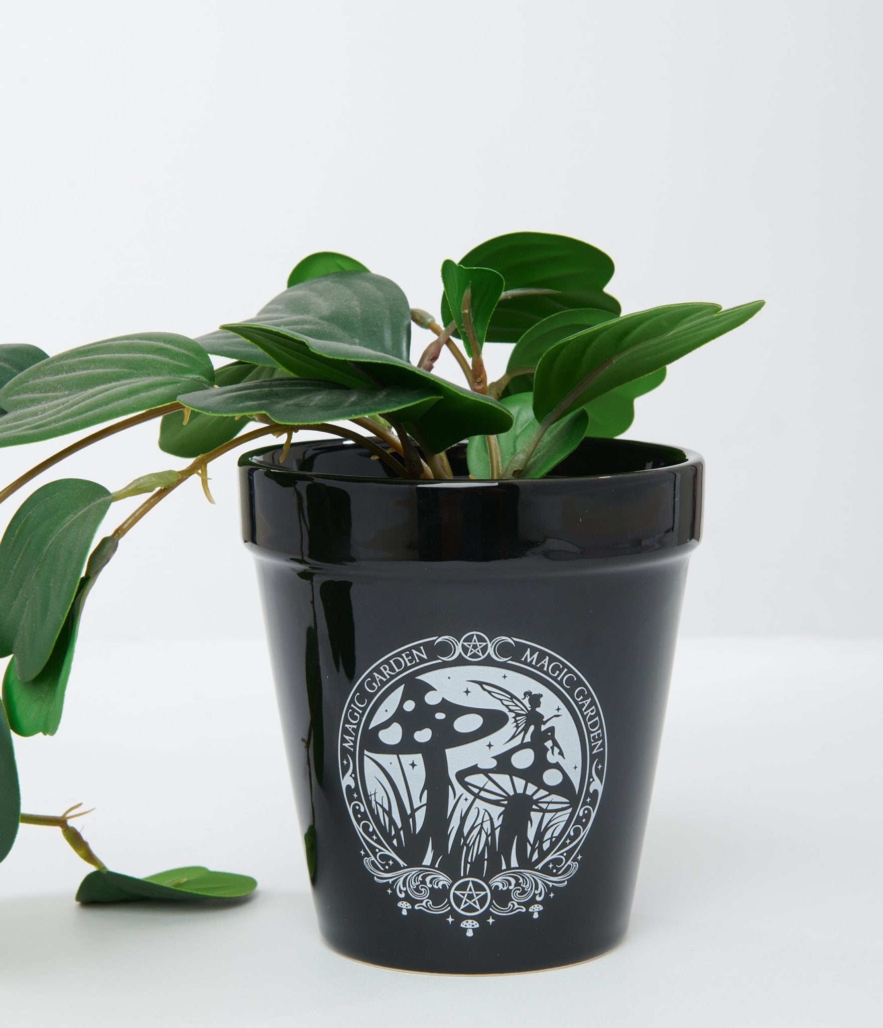 Black Magic Garden Plant Pot